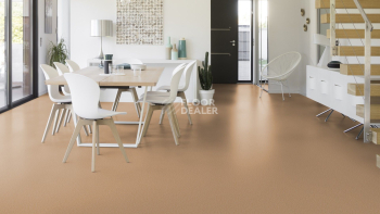 Gerflor Taralay Initial Compact (Plain & allover look) 0954 Spider Dore фото 2 | FLOORDEALER